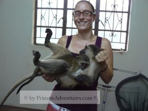 vervet release 2014 Health check